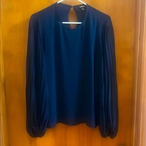 Express Blue Long Puff Sleeve Blouse